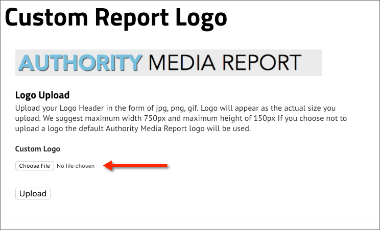 SBT Custom Report Logo